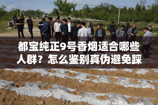 都宝纯正9号香烟适合哪些人群？怎么鉴别真伪避免踩坑？